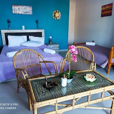 Gardenia House Apartment